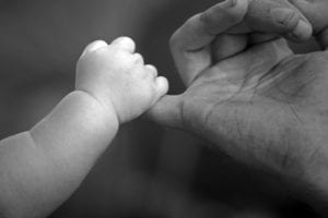 Baby holding adult's finger