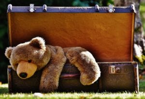 Stuffed animal in suitcase