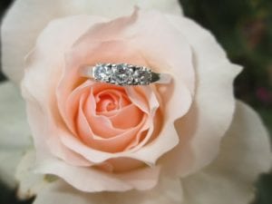 Engagement ring in rose