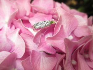 Picture of engagement ring sitting on flowers